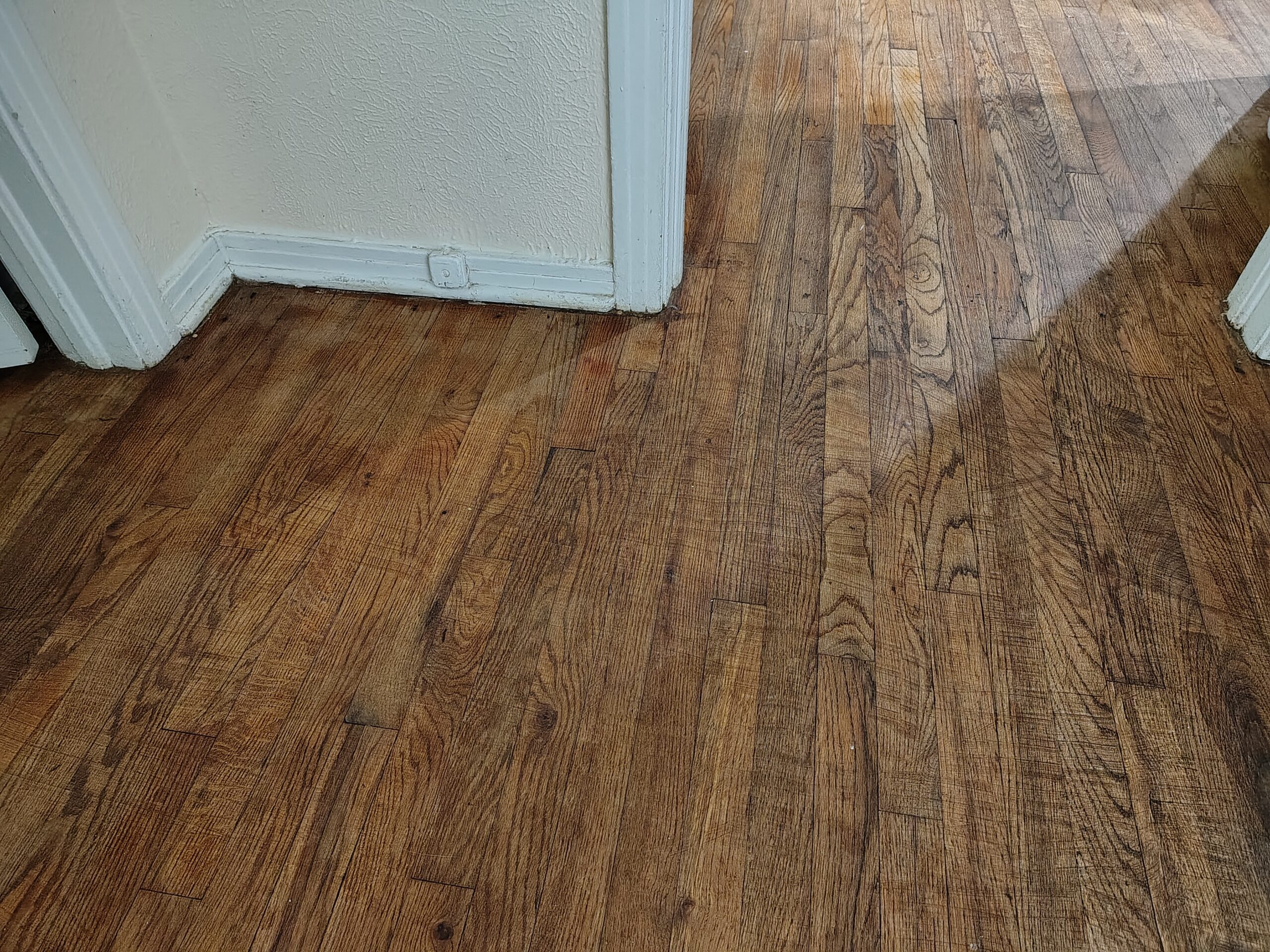 Clinic renovation project by Fast General Contracting